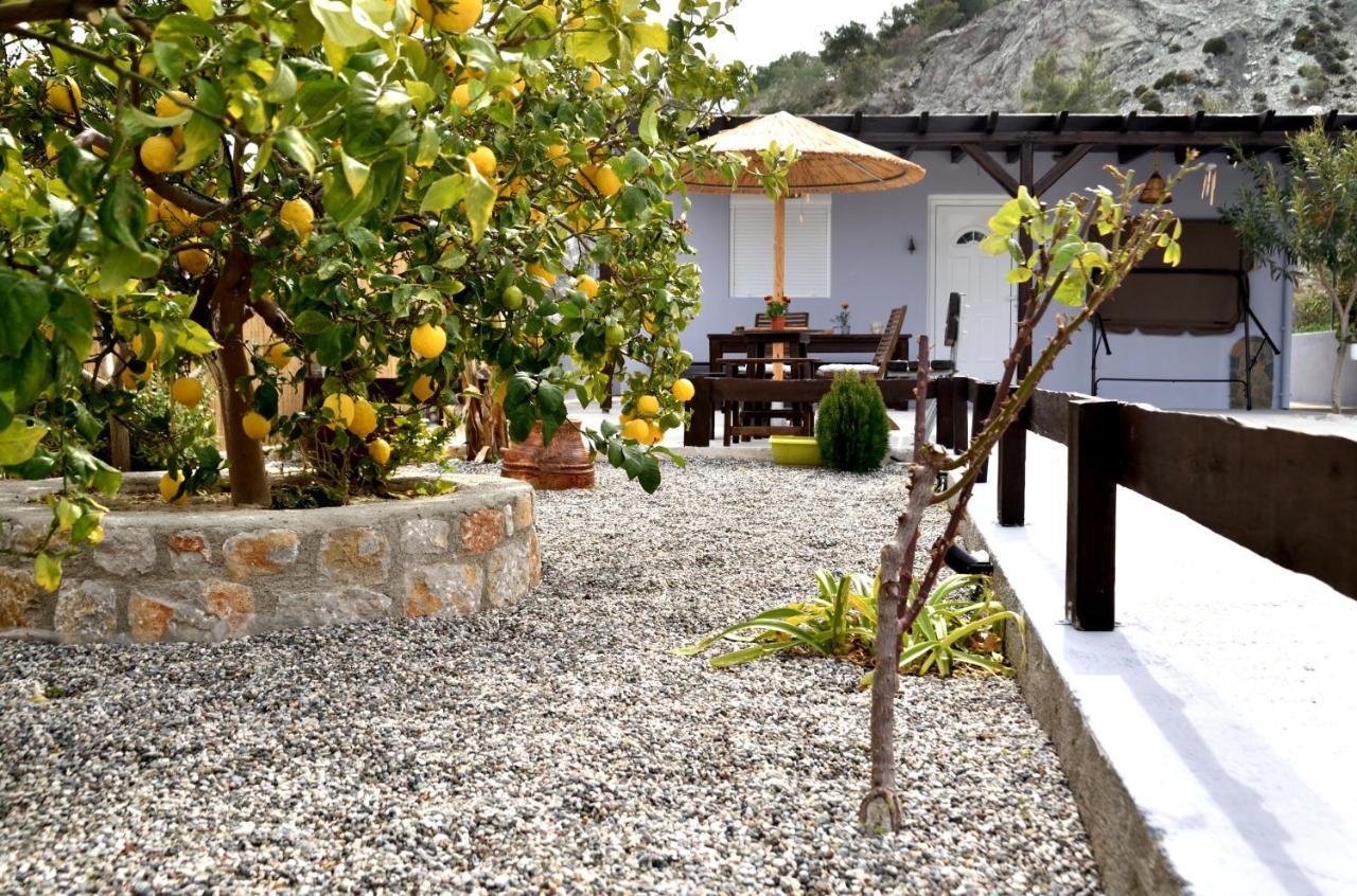 Plumeria House Villa *
