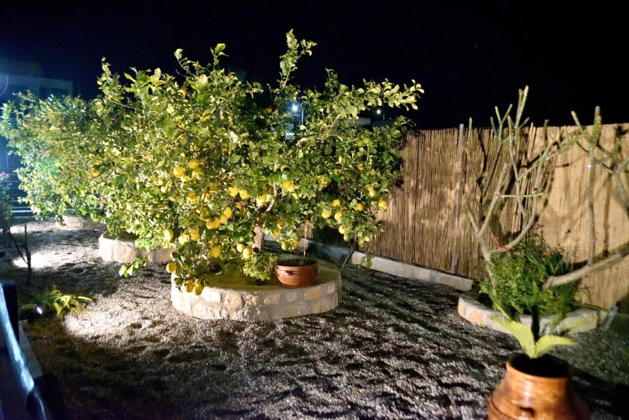 Plumeria House *